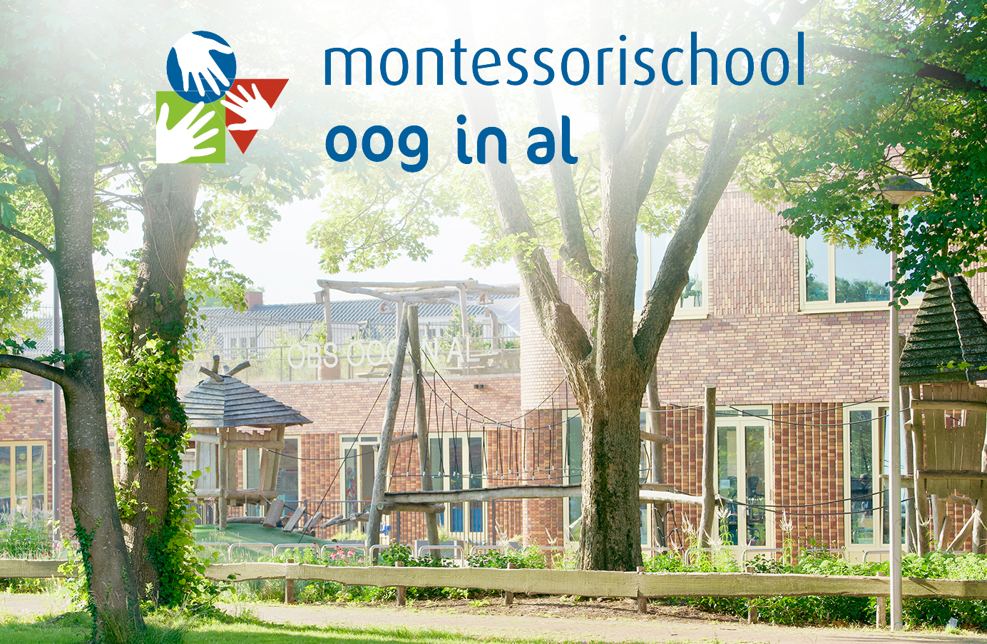 Oog in Al